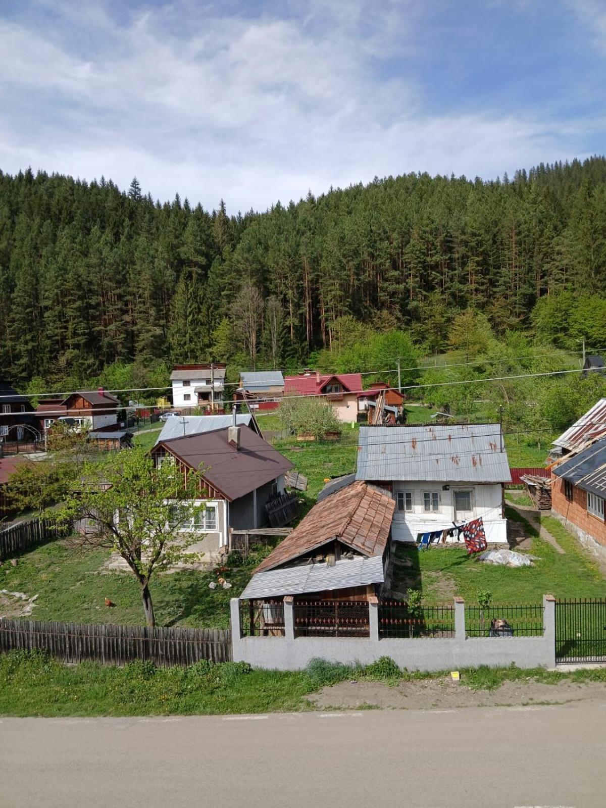 Forest View Câmpulung Moldovenesc Eksteriør billede